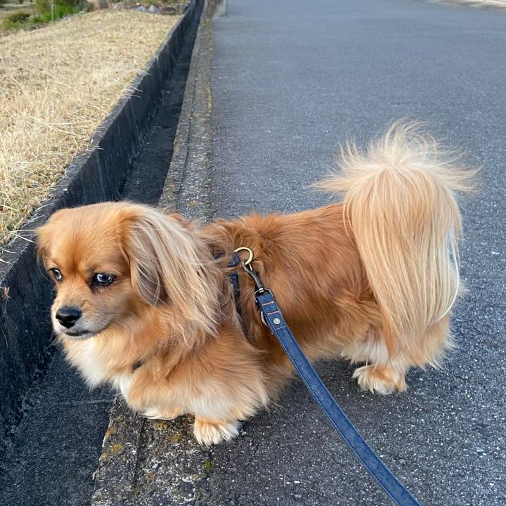 0957385c 8354 429c ac4f 2c9da7e12313 1583186343941