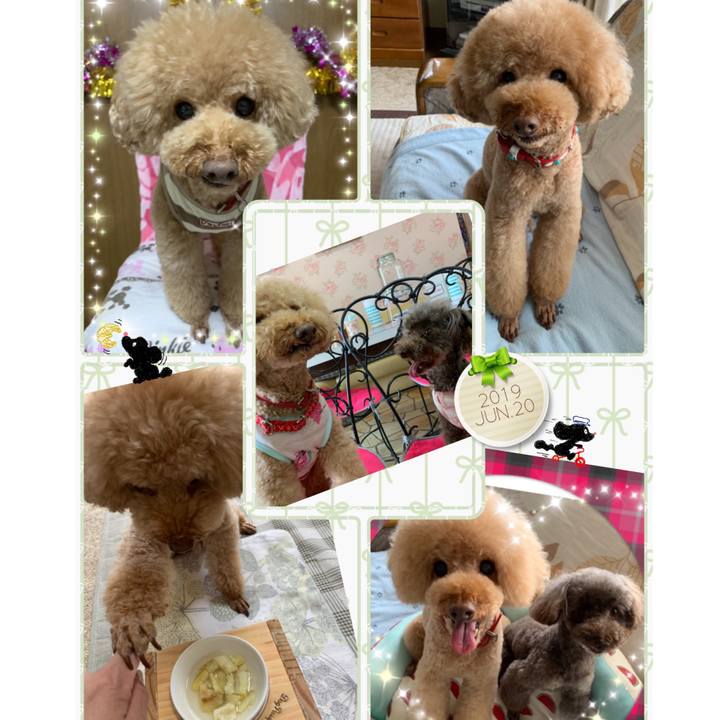 09576509 7914 416d 9bbb 62aba2c23f04 1577695306161