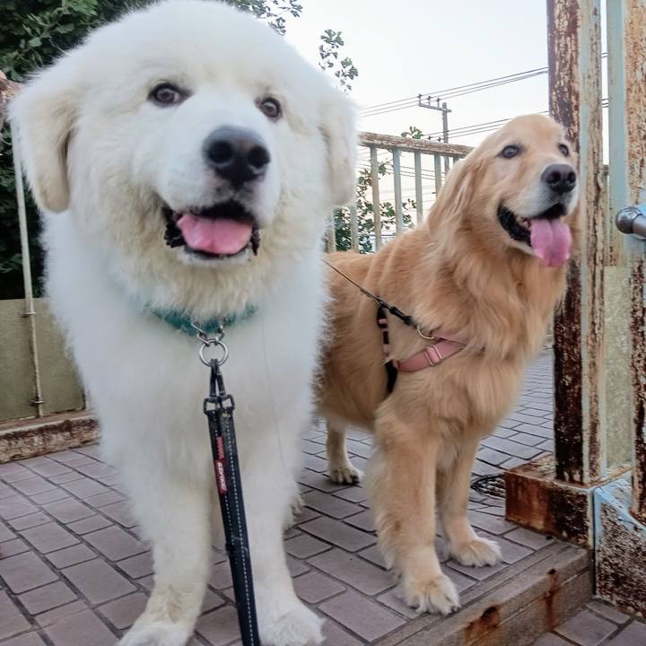 0957975e 12a8 4726 975e 6672e7741c16 1722688467628