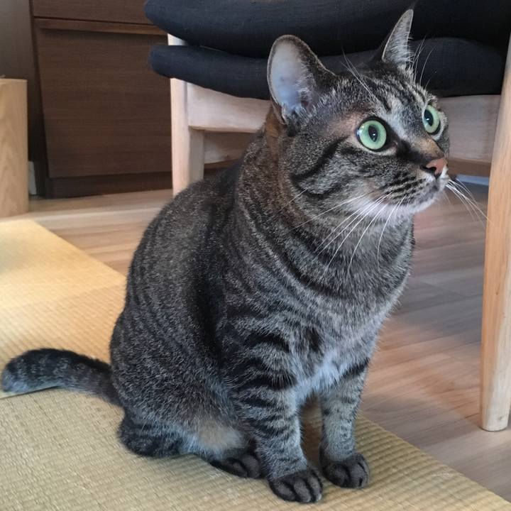 09579b15 edee 49cb 8359 bbaf1e2e60dd 1561942659370