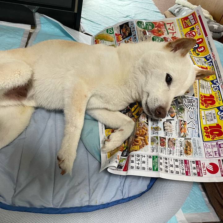 0957dd40 32c5 4d3f a857 ee6acc42f346 1654343894397