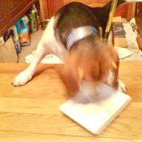 0957f6fc 7999 42f5 b120 8e56d4314ec8 1759456829597