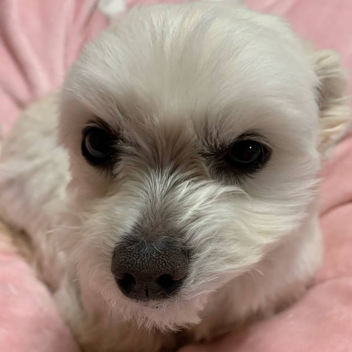 09581a6b f1ec 4b5a a5e3 0d40b817593f 1614775720484