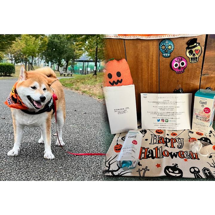 09583241 4bba 47ee 90ff 3c8688a39a8f 1666660679865