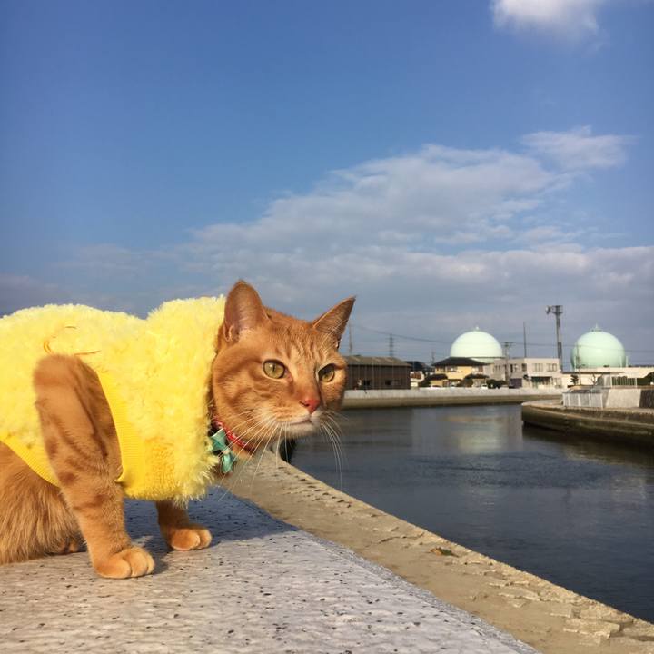 09586765 ba6c 42e1 97a7 ed2f37520c39 1516446891173