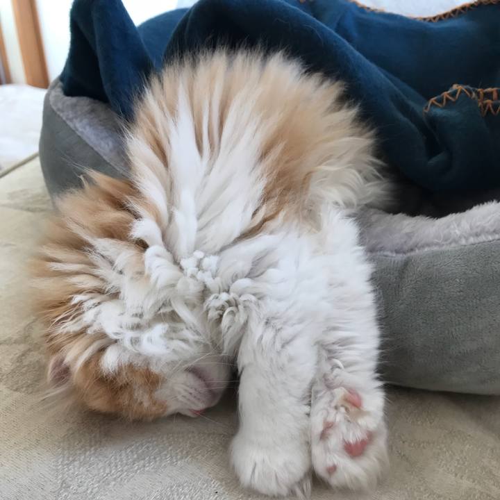 09587dd0 7a9f 4bf3 918a dc4a40b7ec64 1516335624309