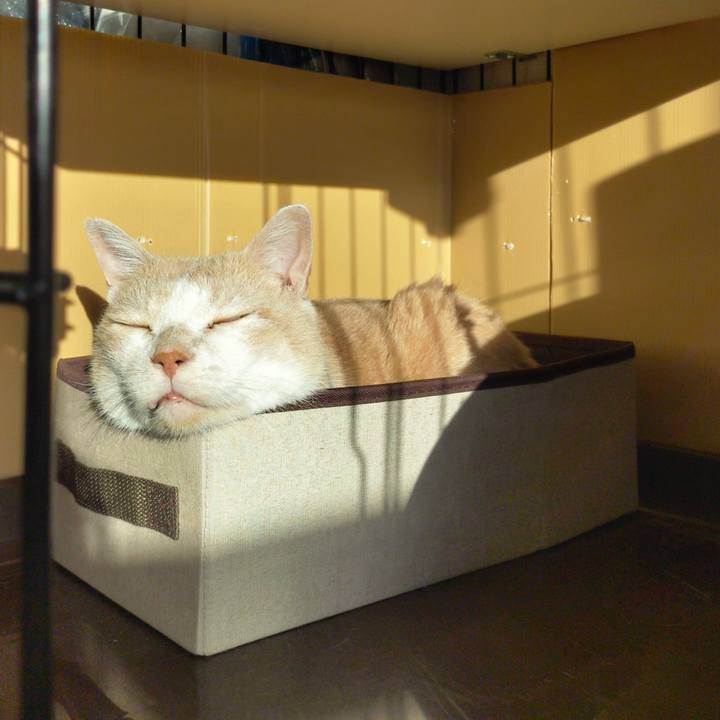 09588153 77a0 4406 b448 9df82b4b6aca 1666131590050