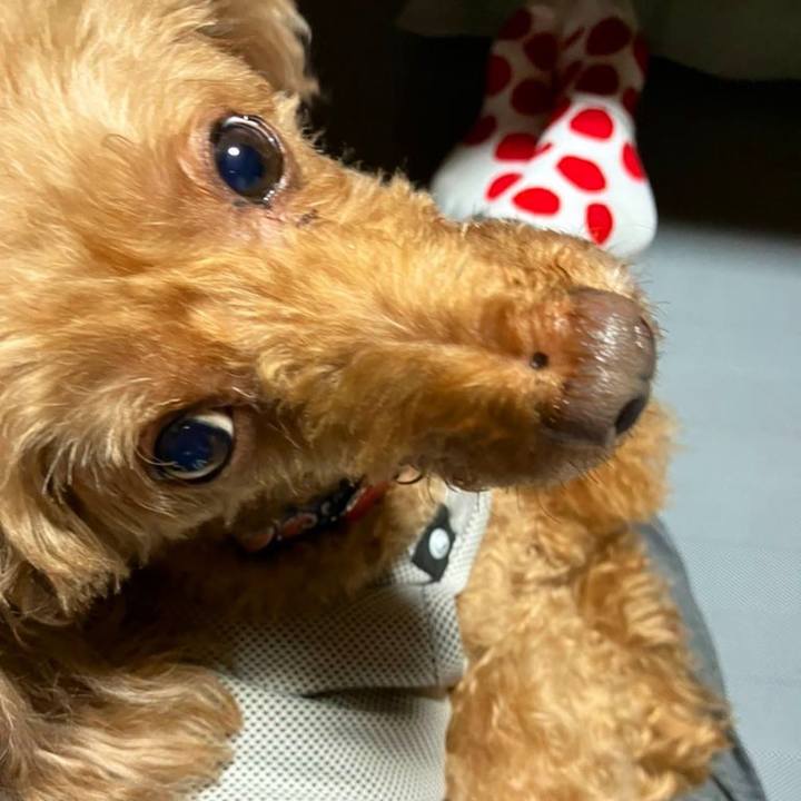 09588f11 b926 407f 8868 11888cc05362 1667695876716