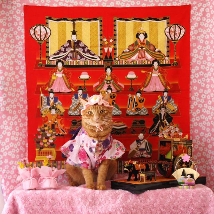 0958a2c1 25c2 43de a6fa dd78f9f62882 1772260405267