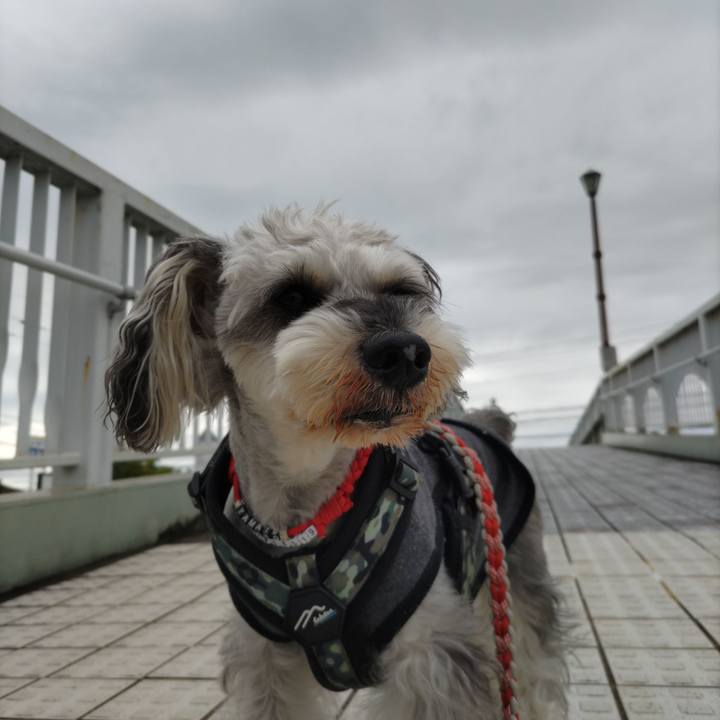 0958c42f fc2f 4a20 b192 13a19dd3701b 1729913614254