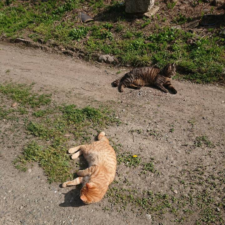 0958c935 6e70 43ae b411 1c376fa1bcf4 1650889158959