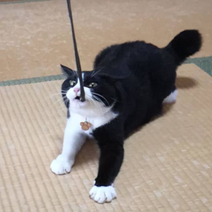 0958e472 41c4 4aa1 9439 75d3b41186fc 1567237699650