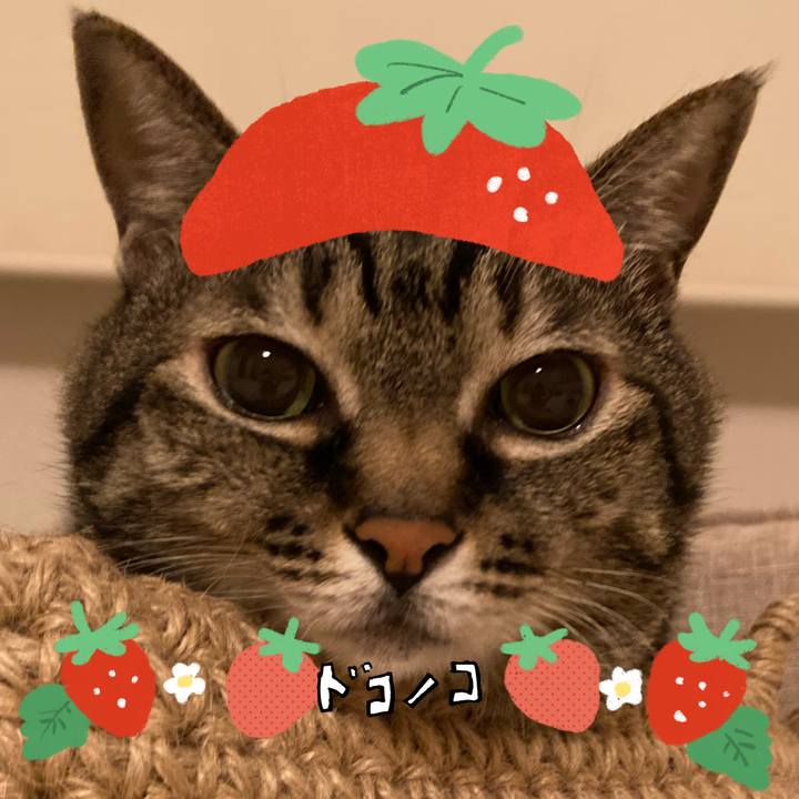 0958f140 f62b 4c5a a0d2 6094ad208cdf 1775263882760