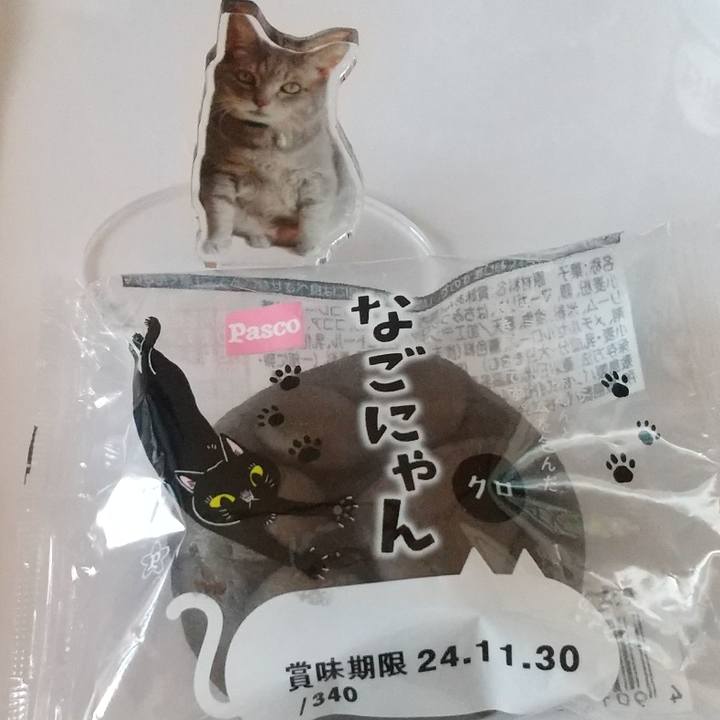 0958f4a3 8997 45bc 93c2 ba161dcb64f9 1728883645870