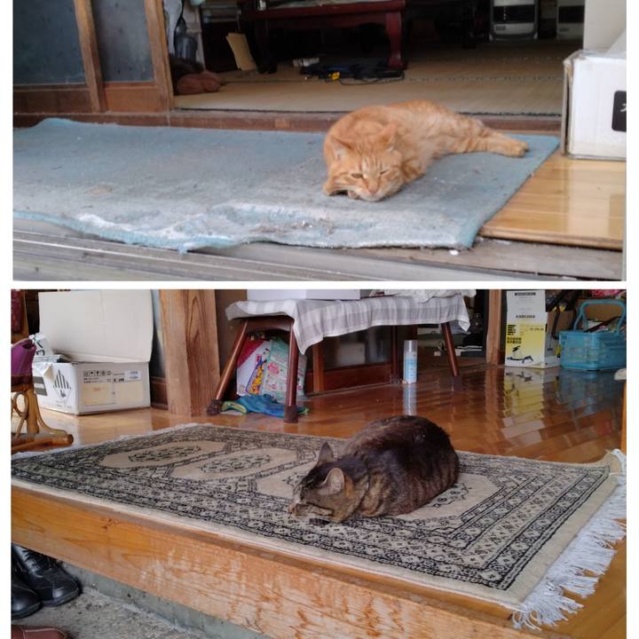 09591335 d1c9 4a26 9000 737dc973dc81 1717835298502