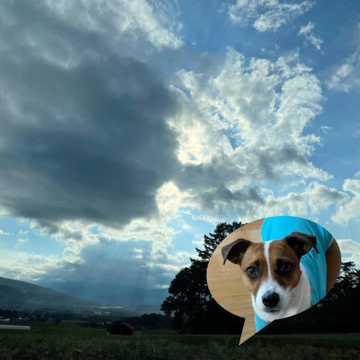 09595465 56f1 4312 8aee e56fd5937d4d 1625047329361