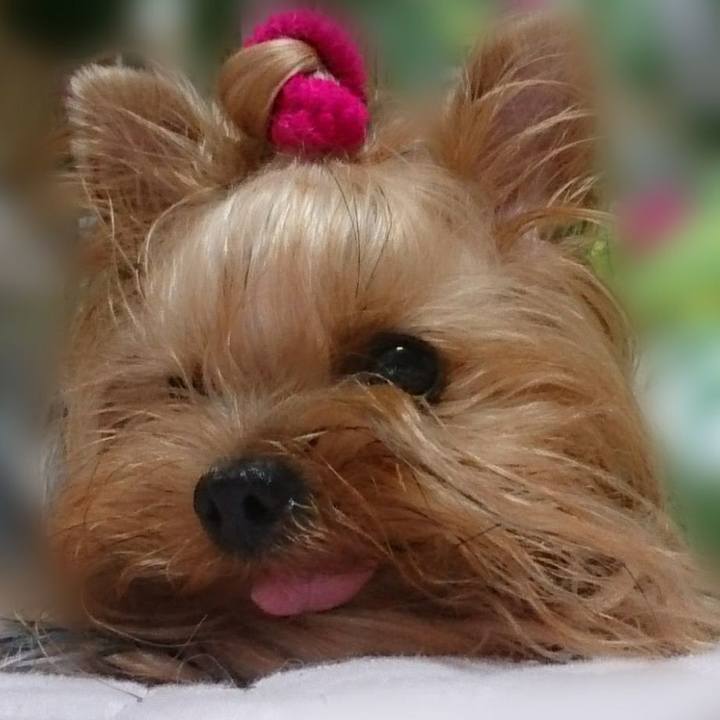 09595945 d4be 49db b678 185f2178ca4b 1631926767965