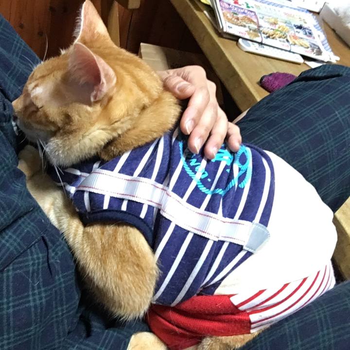 0959a85d 6a37 4f6a 9d73 7fbe6b17ba6c 1596210303771