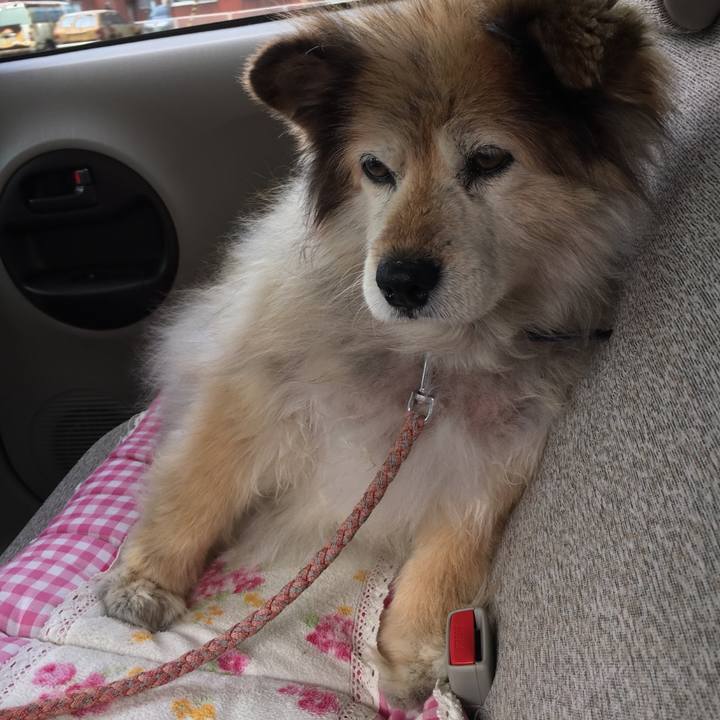 0959fd94 7e96 4836 8d62 4662ca6da248 1604546767728