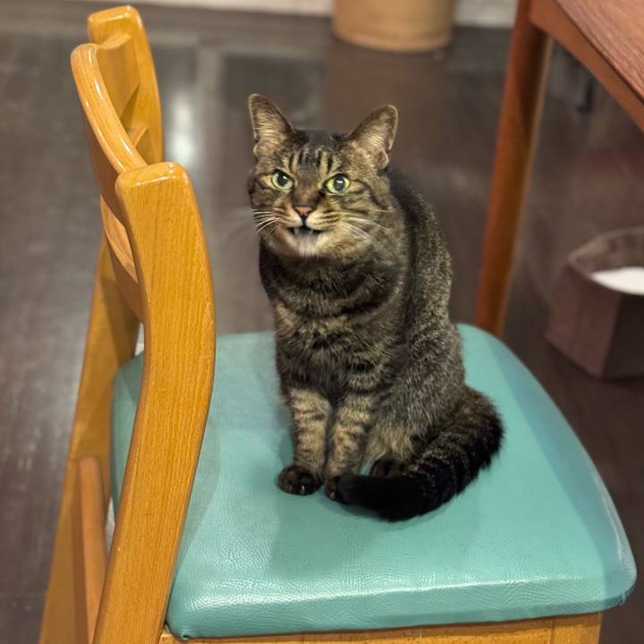 095a4c2a 8216 4ba8 9d0d a61cf3d01a27 1773491923398