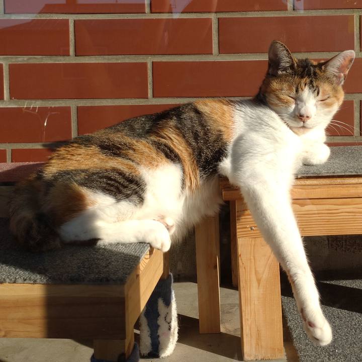 095a6788 a63b 4d67 b309 dec8c6dacb1c 1632552582915