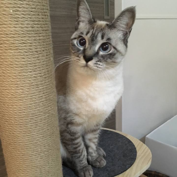 095a8b7b b173 44d1 b5ff 1616a02c917d 1577185364905