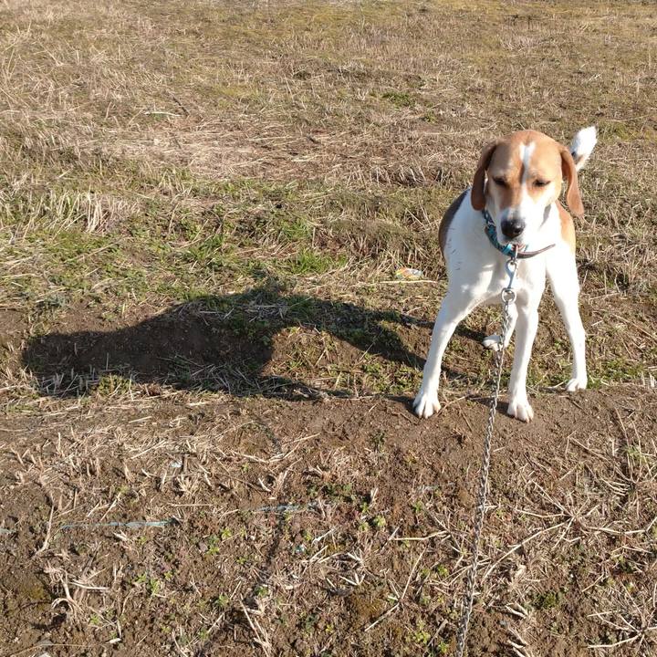 095b3b1a 1b82 4757 b7ab 49a747394fb0 1611563731109