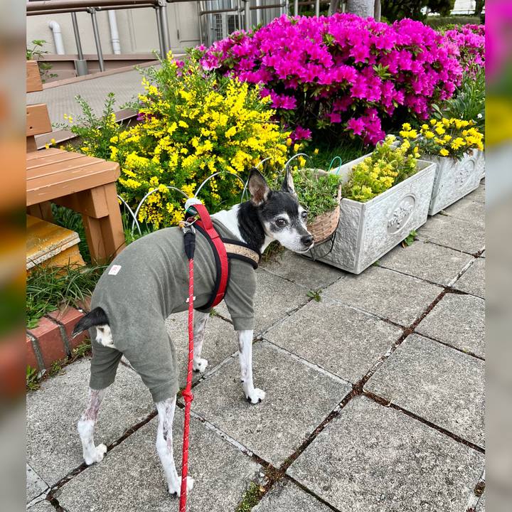 095b3fa1 9062 42d2 bffd e9cd4143f87d 1650924288592