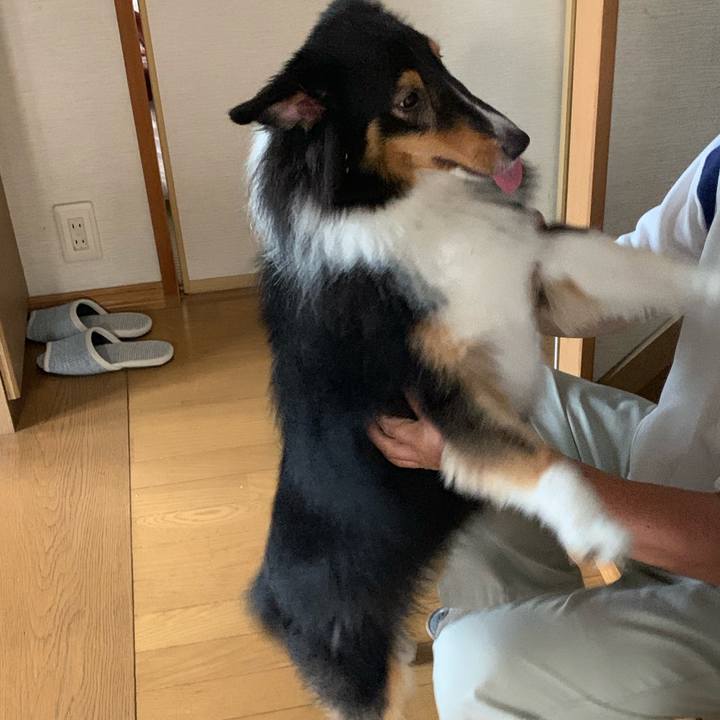 095b62dd 711a 4769 9d91 a78ed1d90879 1567462508398