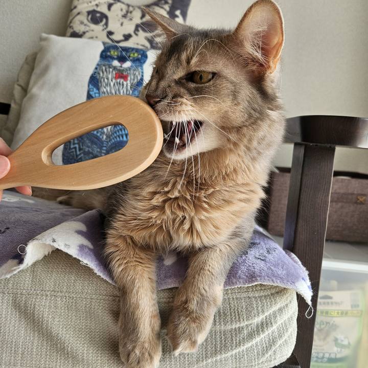 095bd1b4 daad 4d36 967d 65535024f8c5 1714281224163