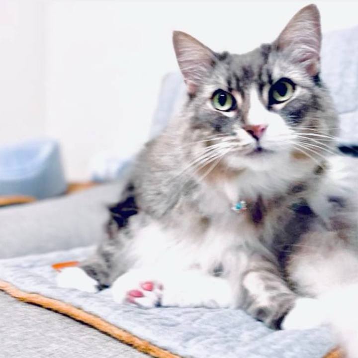 095bd30b 5f66 45e5 bcf8 cf64c775f082 1755963323015