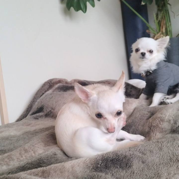 095c0a60 7c82 468f b5e1 c361243a1671 1747562751304