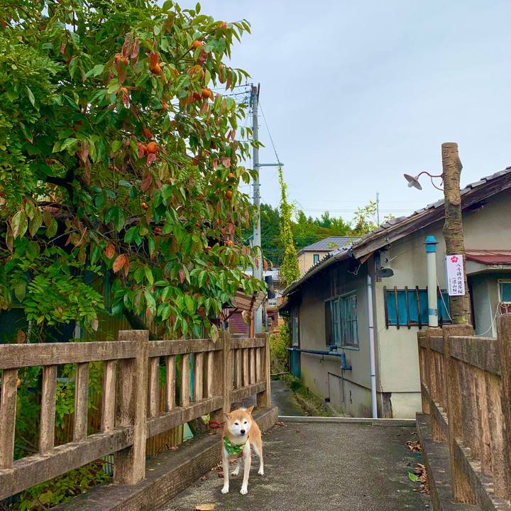 095c0dcc 9f63 4793 bf9b 875b08fc2cbf 1635681879793