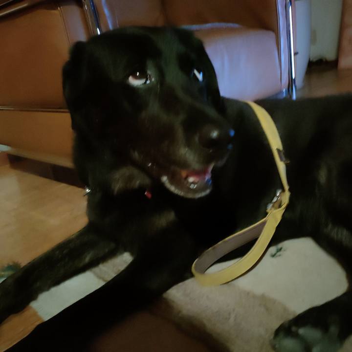 095c77fb 3d9f 42a9 a38d 3de8bca44ef5 1694610950606