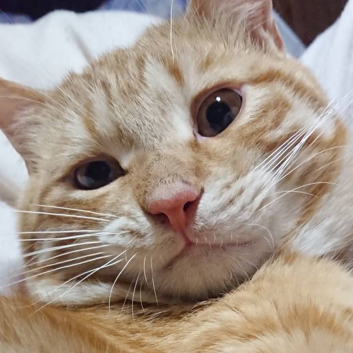 095c7e93 e7d8 4a66 aedd 41bb809f5ab4 1647089919892