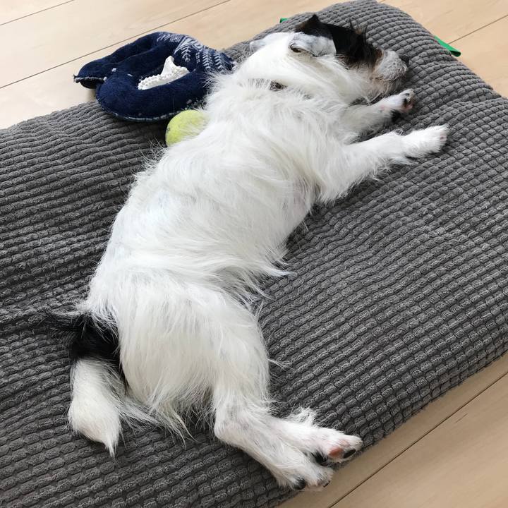 095c98ed 5d76 4932 90a3 b495cfbb4ee8 1524790922580