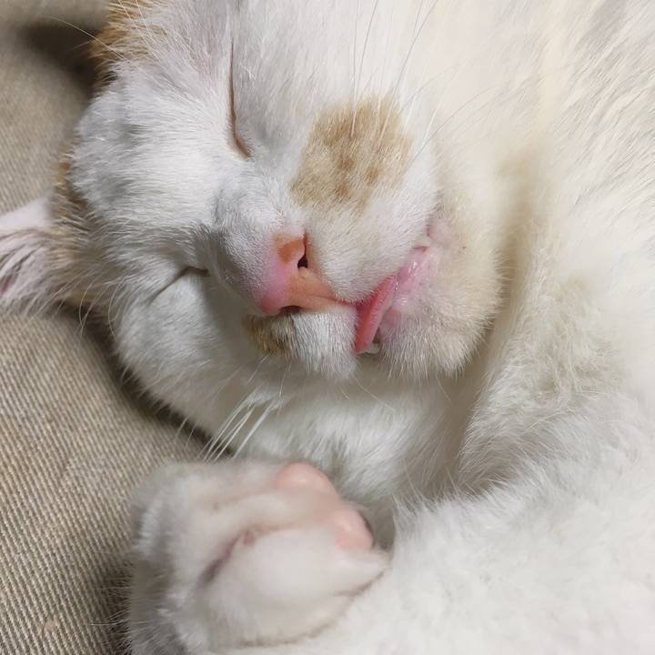 095c9910 32dc 470a a1f1 6849f586620c 1584710558747