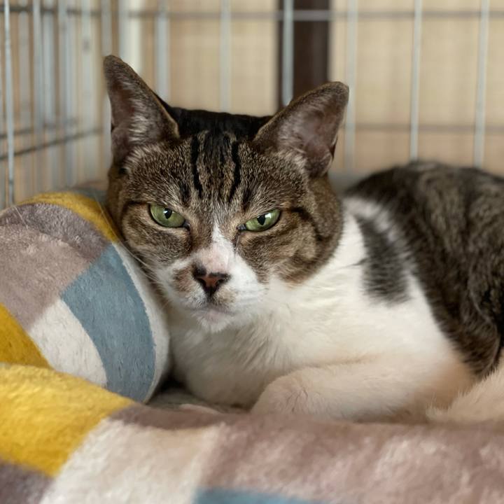 095cb5bb ffd4 4859 9b2a 5261bae641dc 1628474535740