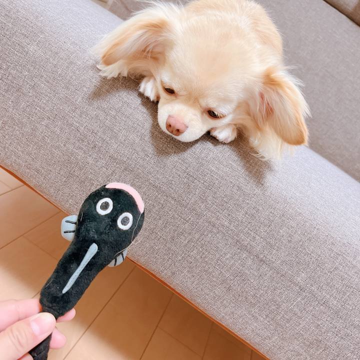 095cbc06 b2b4 47bf 8620 f3ee782b725a 1652670183068