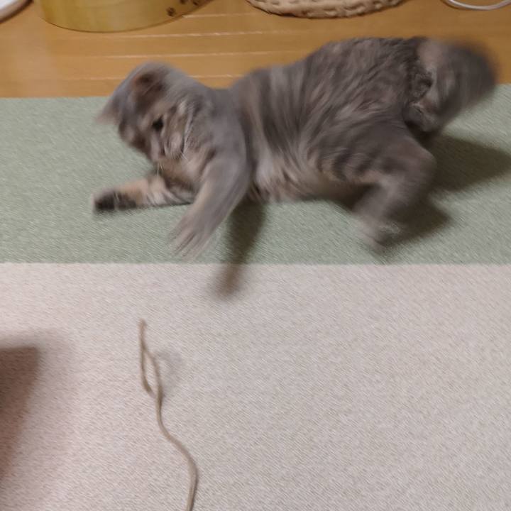 095cd3e1 a1bd 4b90 9517 db6448bfaf2b 1593179866793