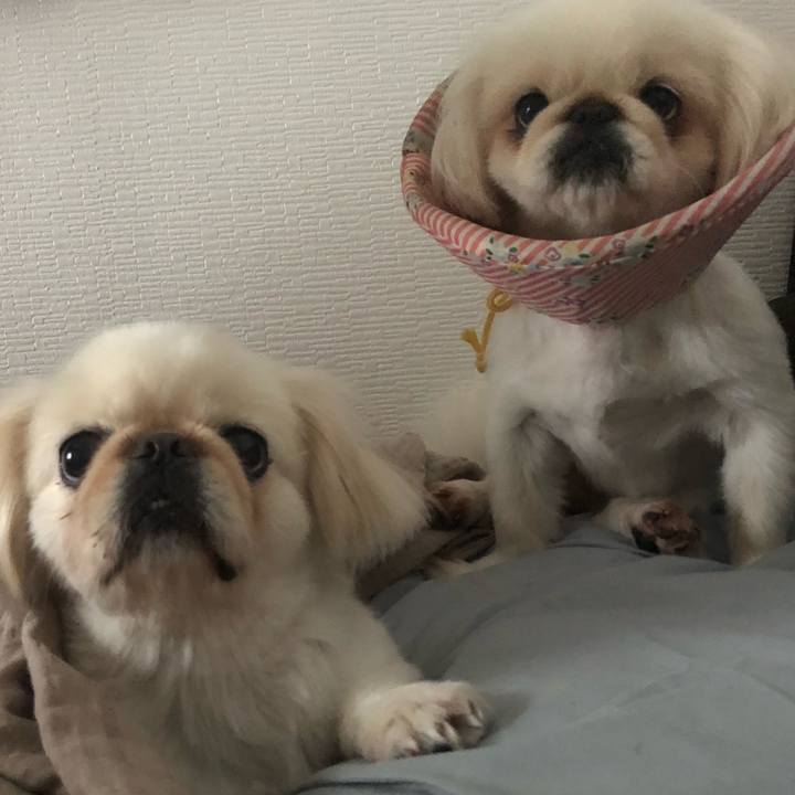 095cdf8e 7f65 4c03 89d6 907321058b23 1538203200626