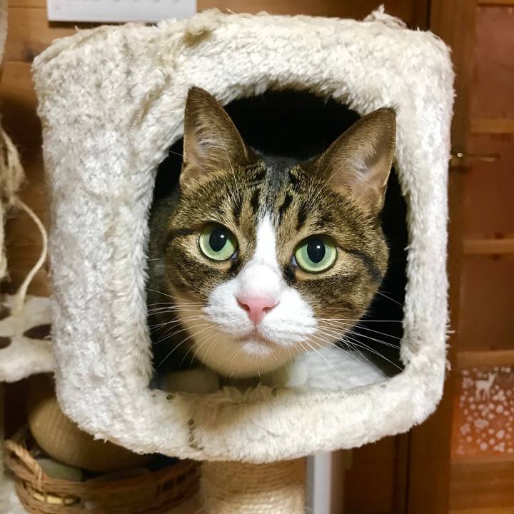 095ceab2 fb6b 4409 9e2a e40b98658eda 1538138825720