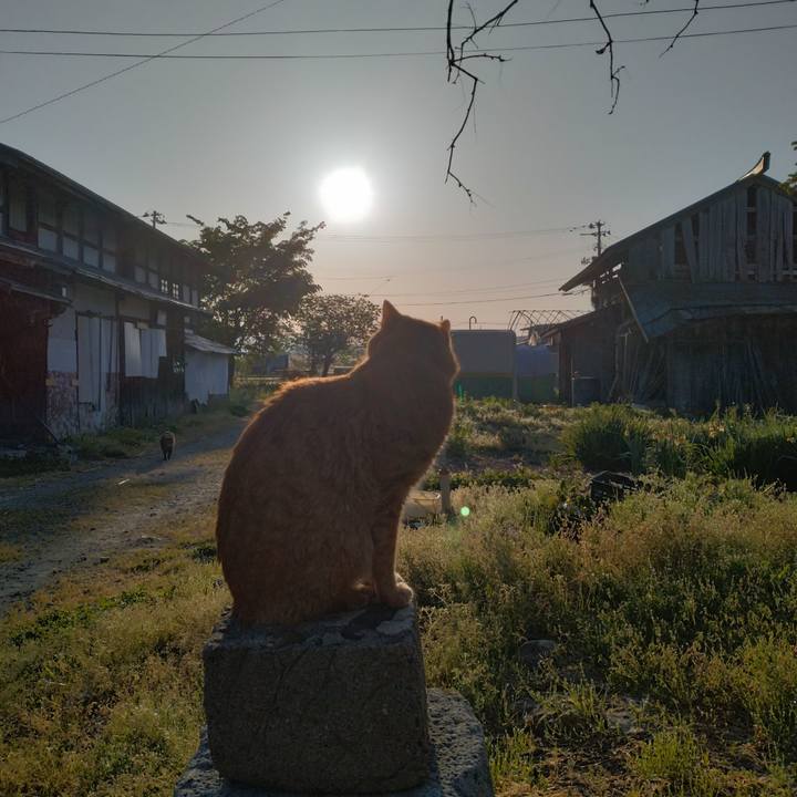 095d36ee 5af7 4774 b28f 7a2504ce1ab5 1714687107379