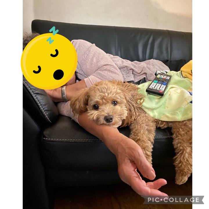 095d4723 4203 4715 9f94 5dca811509f5 1665739188217