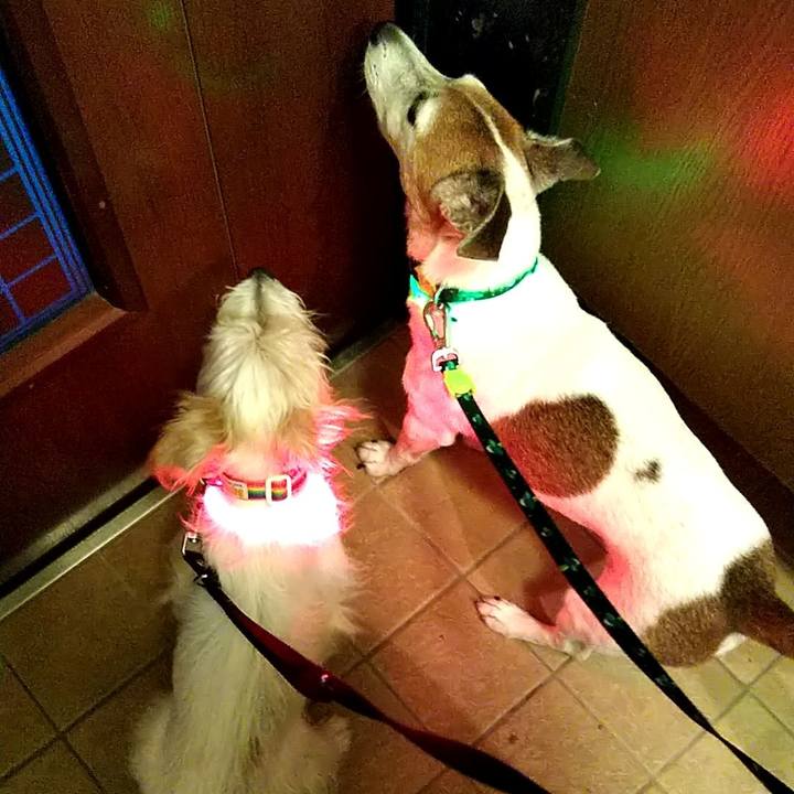 095d5325 4e92 4d90 8517 e0551a198d0d 1534673147446