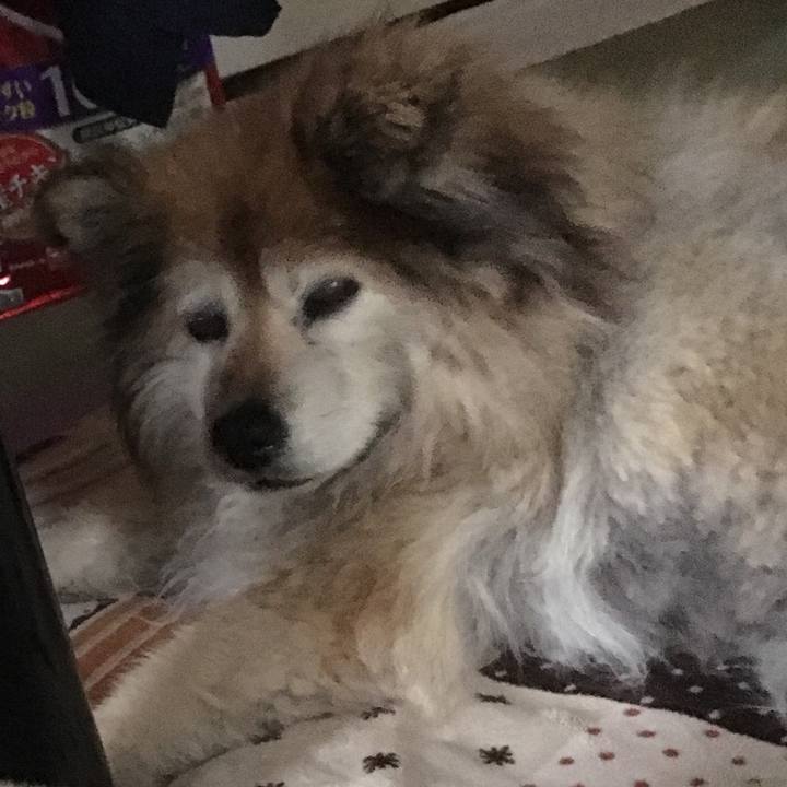 095d5594 3d72 4bda ab6d 5ec40bfcedb1 1578933947527