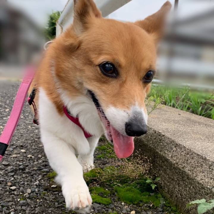 095d7752 97b4 4f73 882c 3114b0f7eafe 1686389708965