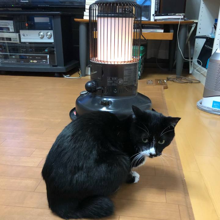 095d8343 33eb 4232 8ef7 29db5606f366 1544586623231