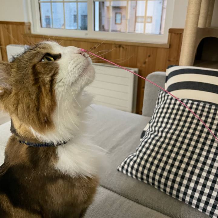 095d8391 d402 4137 9778 e50e081328fc 1660249162279