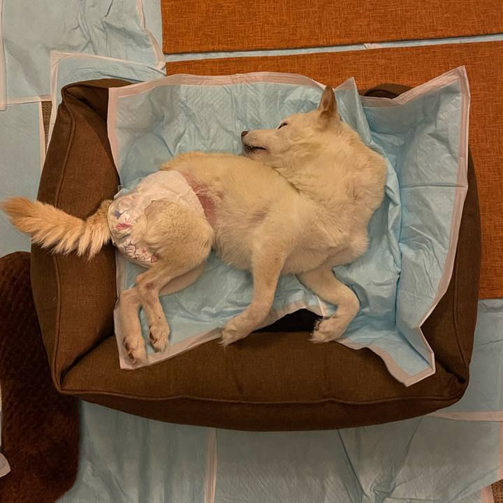 095dac50 1143 494c ad92 e6dfd9d0744d 1668086390988